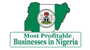 Most Profitable Businesses In Nigeria – Housemates Naija